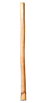 Natural Finish Didgeridoo (TW1773)